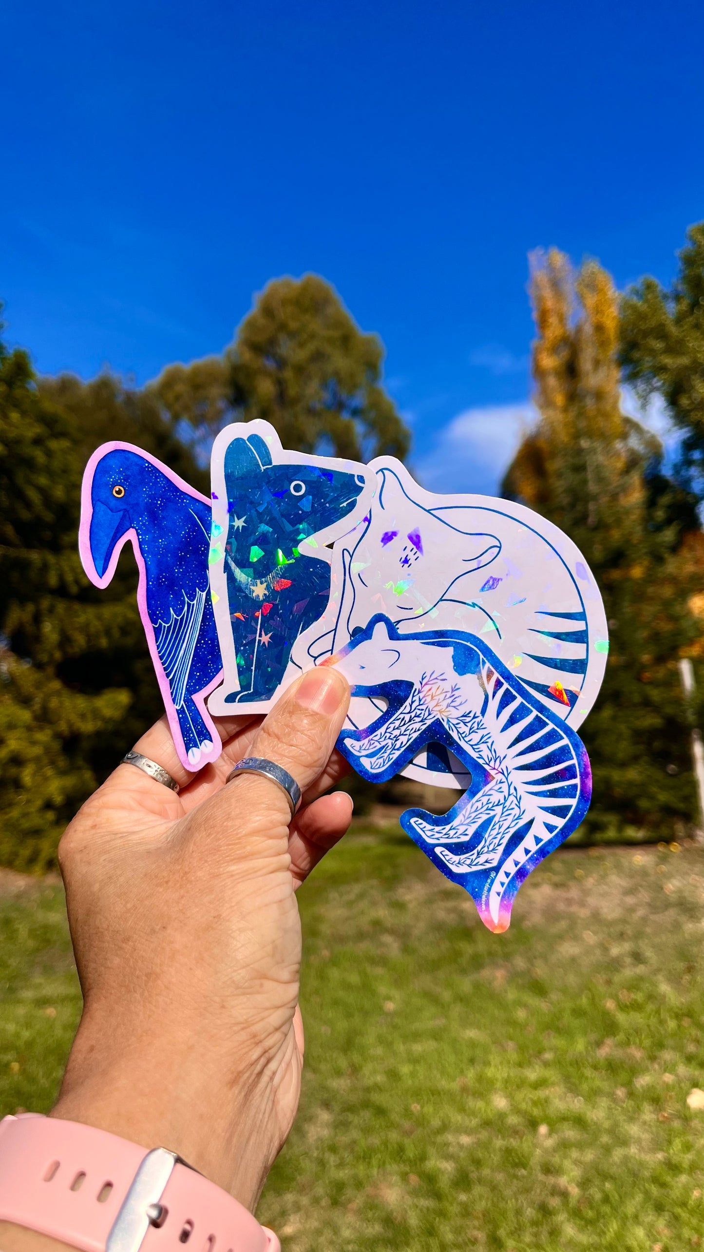 Currawong glossy sticker