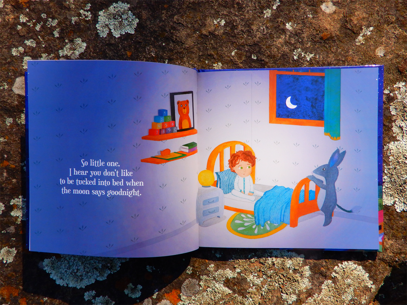 Bedtime Bilby book (signed) by illustrator