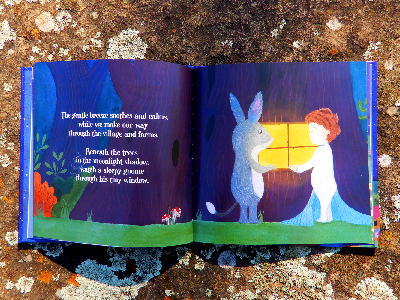 Bedtime Bilby book (signed) by illustrator