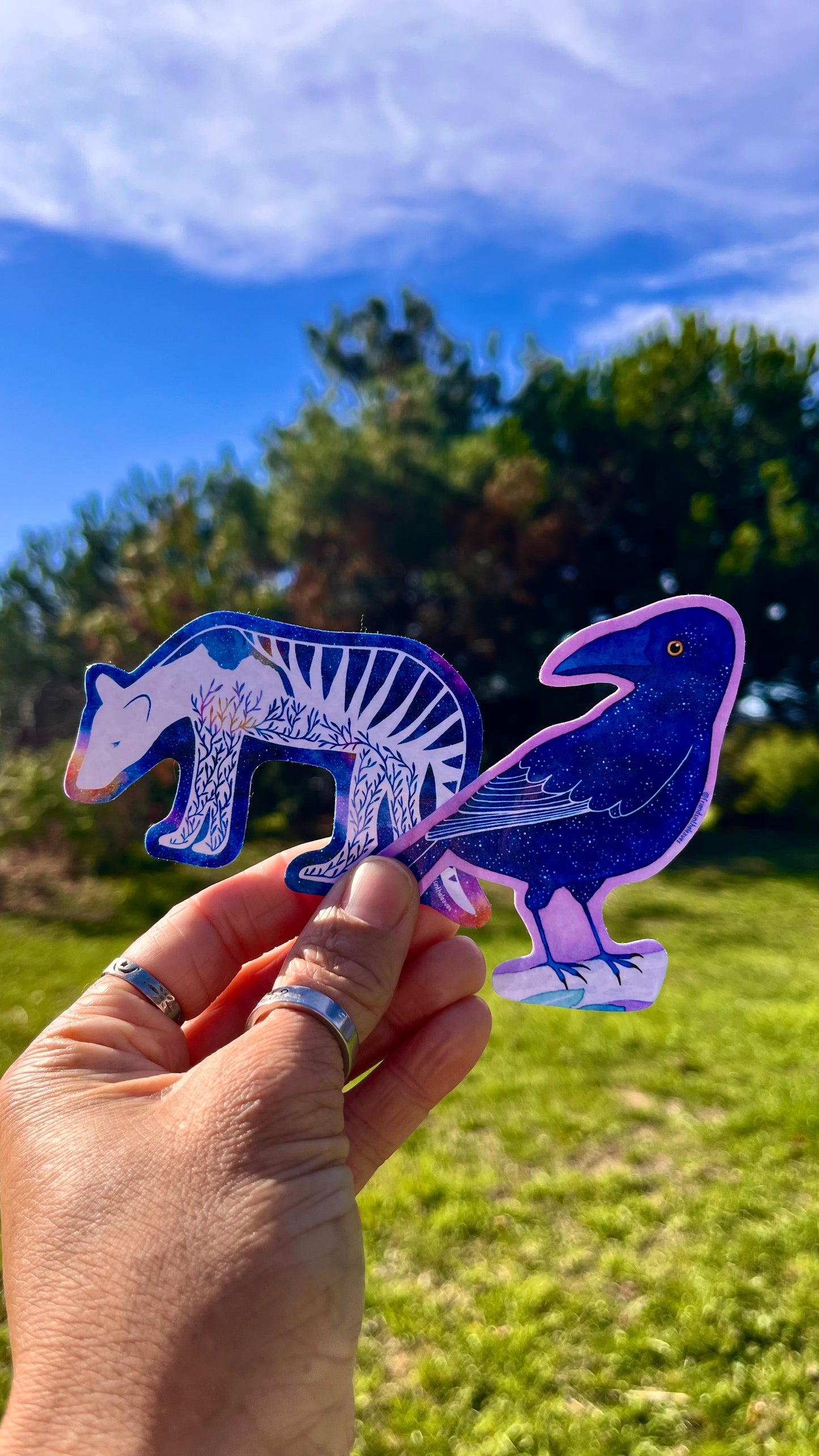 Currawong glossy sticker