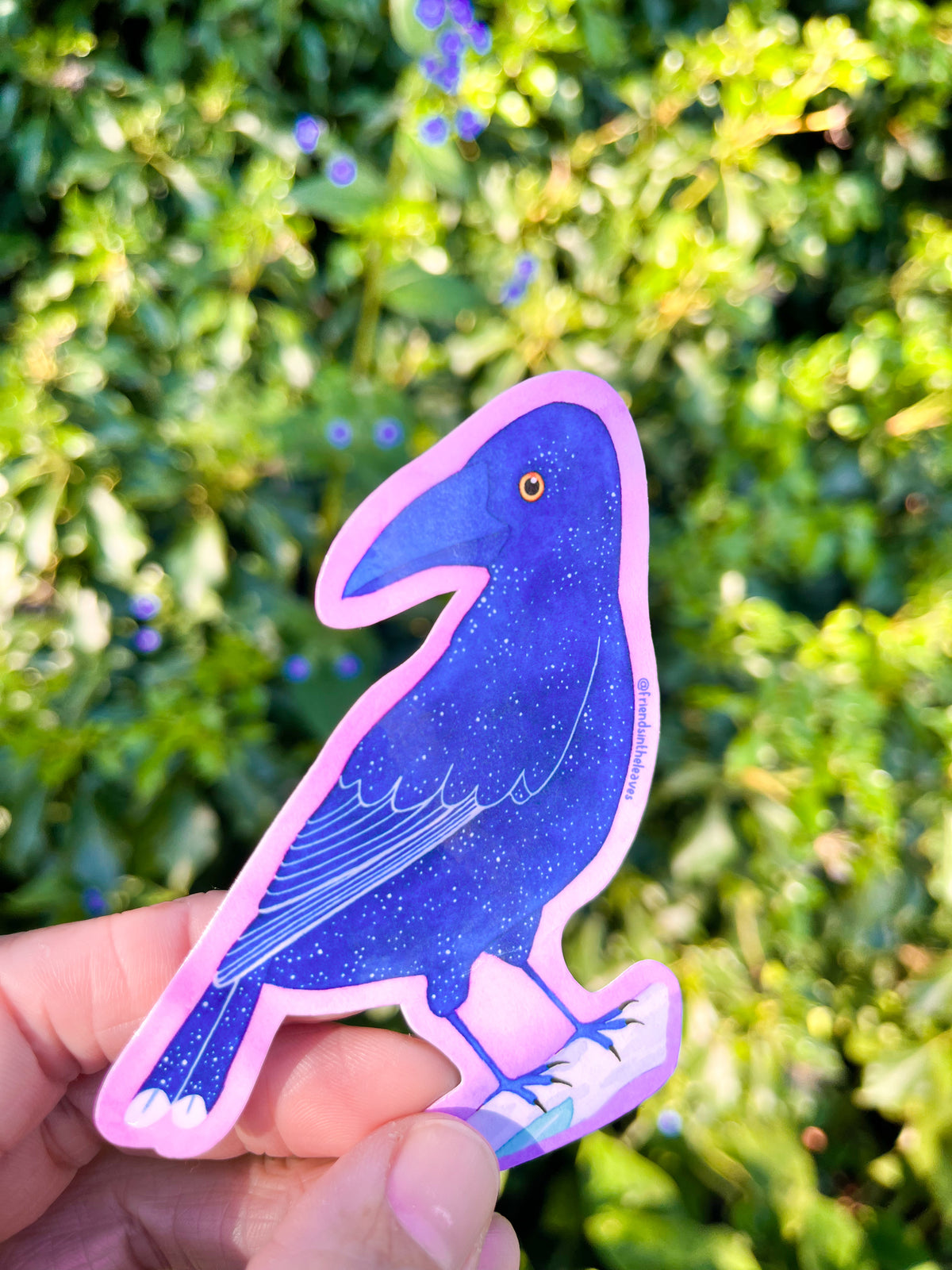 Currawong glossy sticker