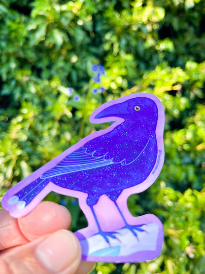Currawong glossy sticker