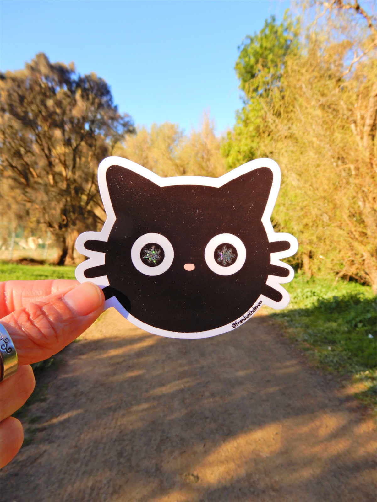 Starry Eyed Cat glossy sticker