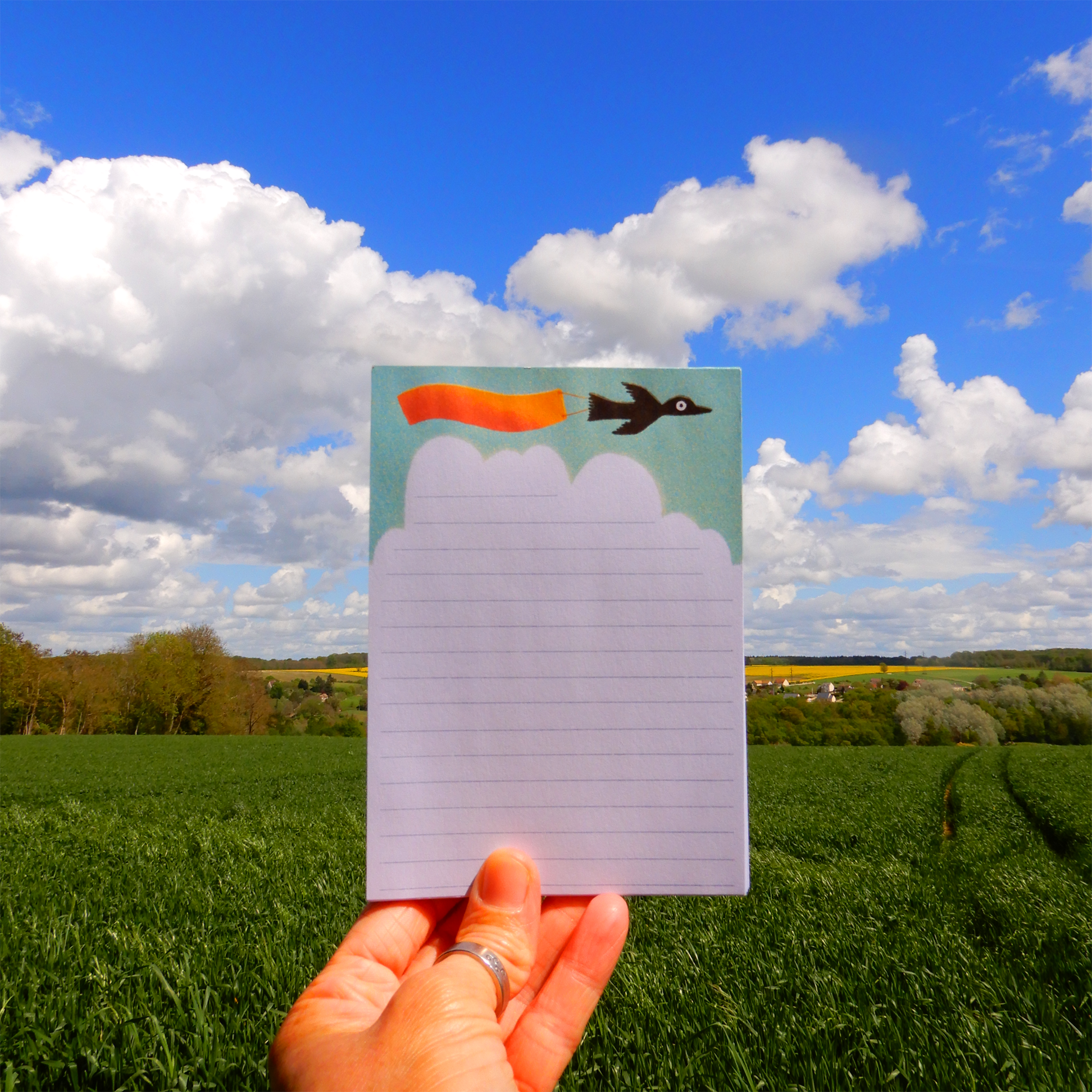 Bird notepad