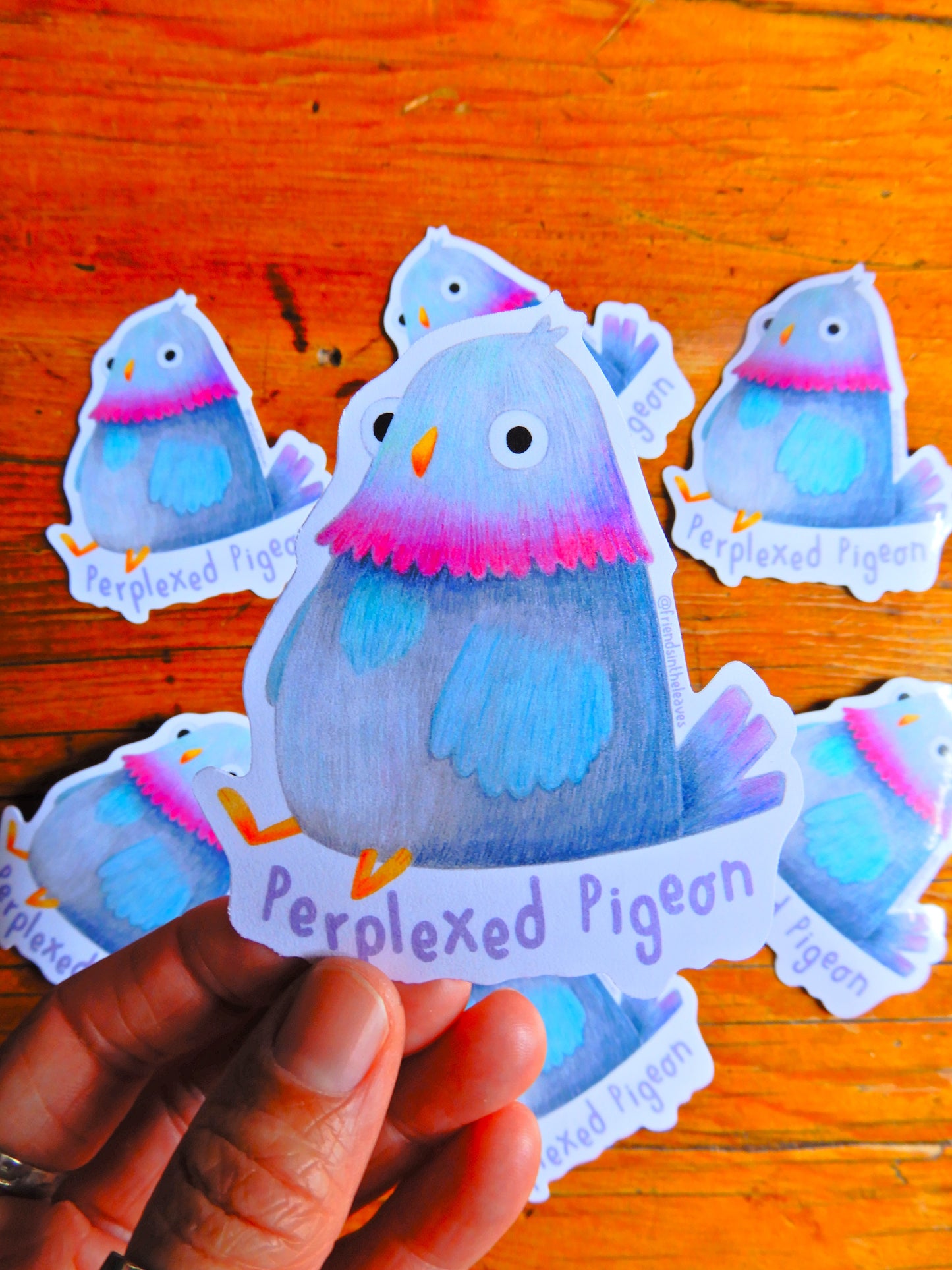 Pigeon glossy sticker