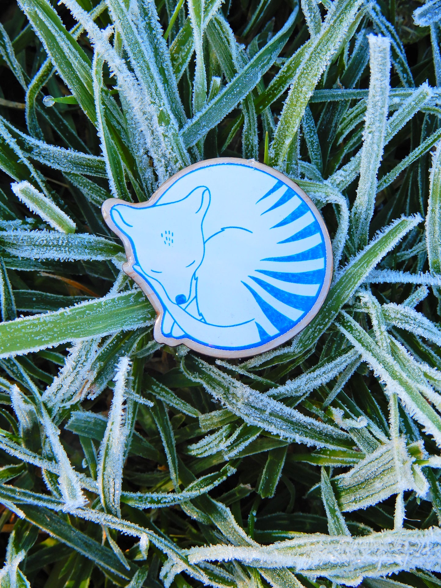 Sleepy Thylacine Tasmanian Tiger pin