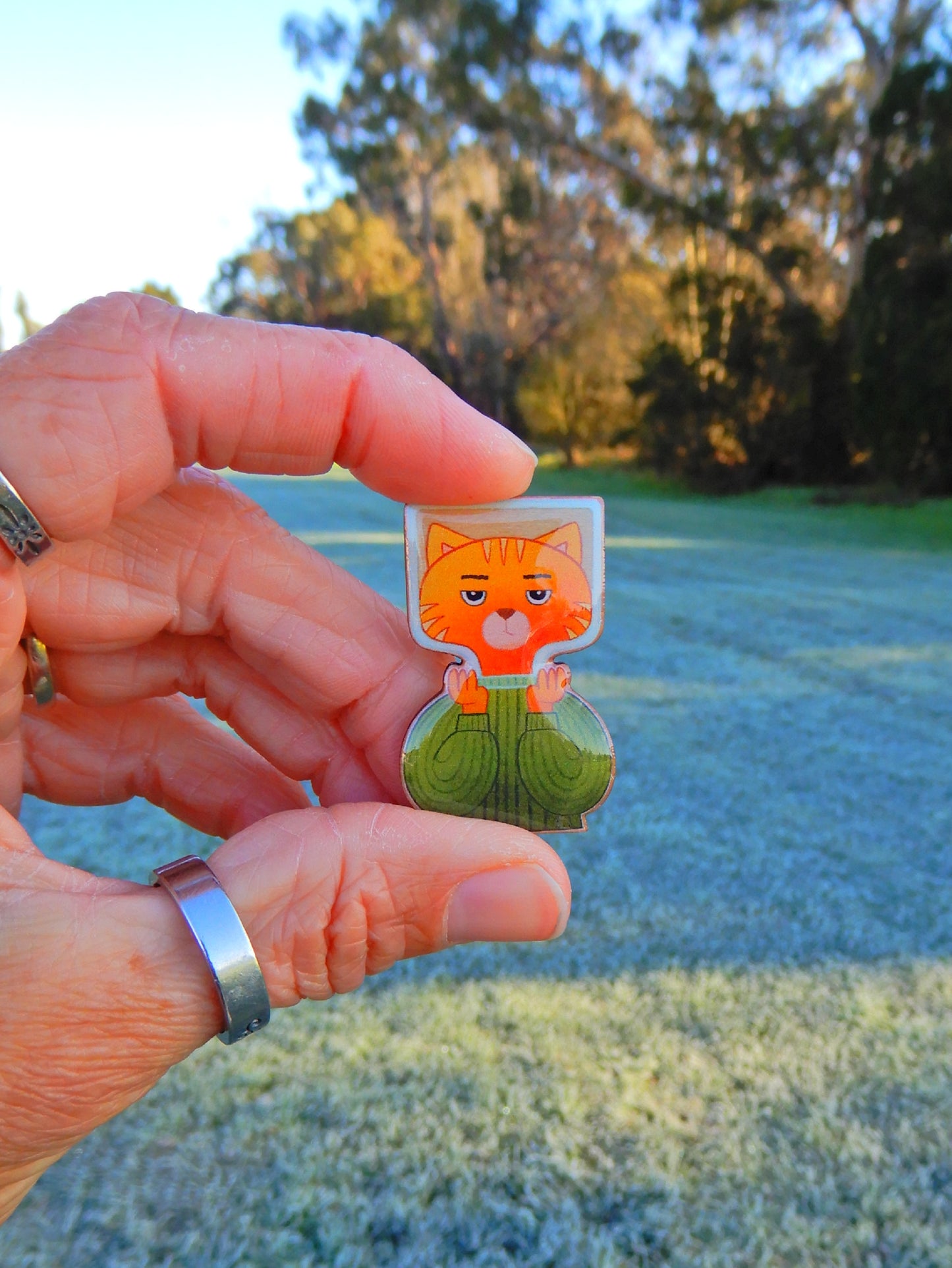 Cat in a Bottle wooden pin
