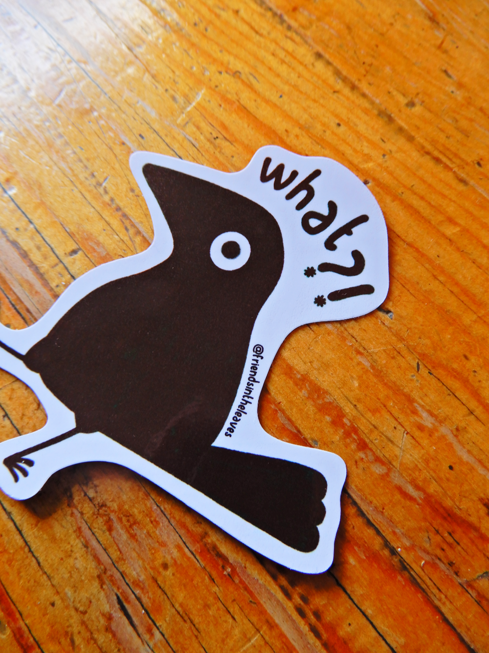What?! Bird glossy sticker