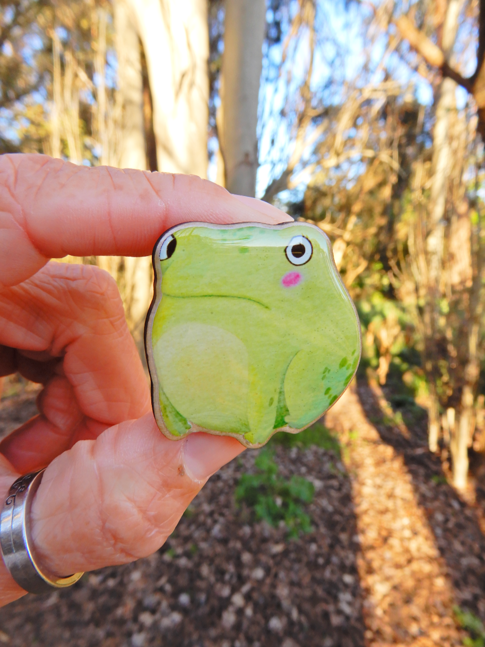 Fed Up Frog wooden pin