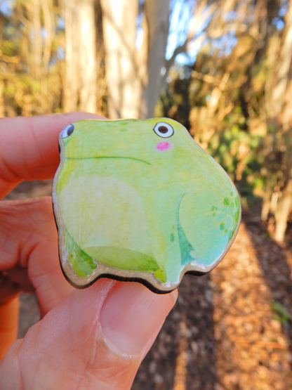 Fed Up Frog wooden pin