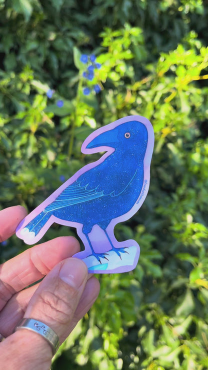 Currawong glossy sticker