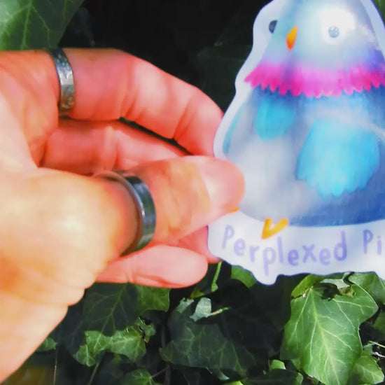 Pigeon glossy sticker