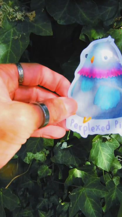 Pigeon glossy sticker