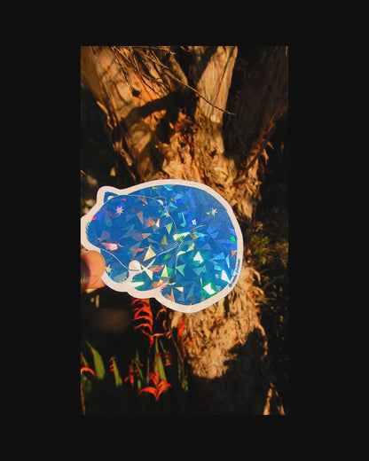 Sleepy Wombat holographic sticker
